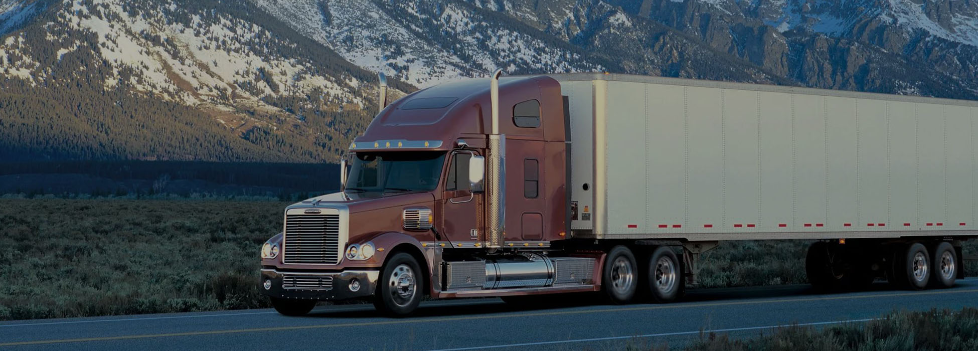 Международные перевозки